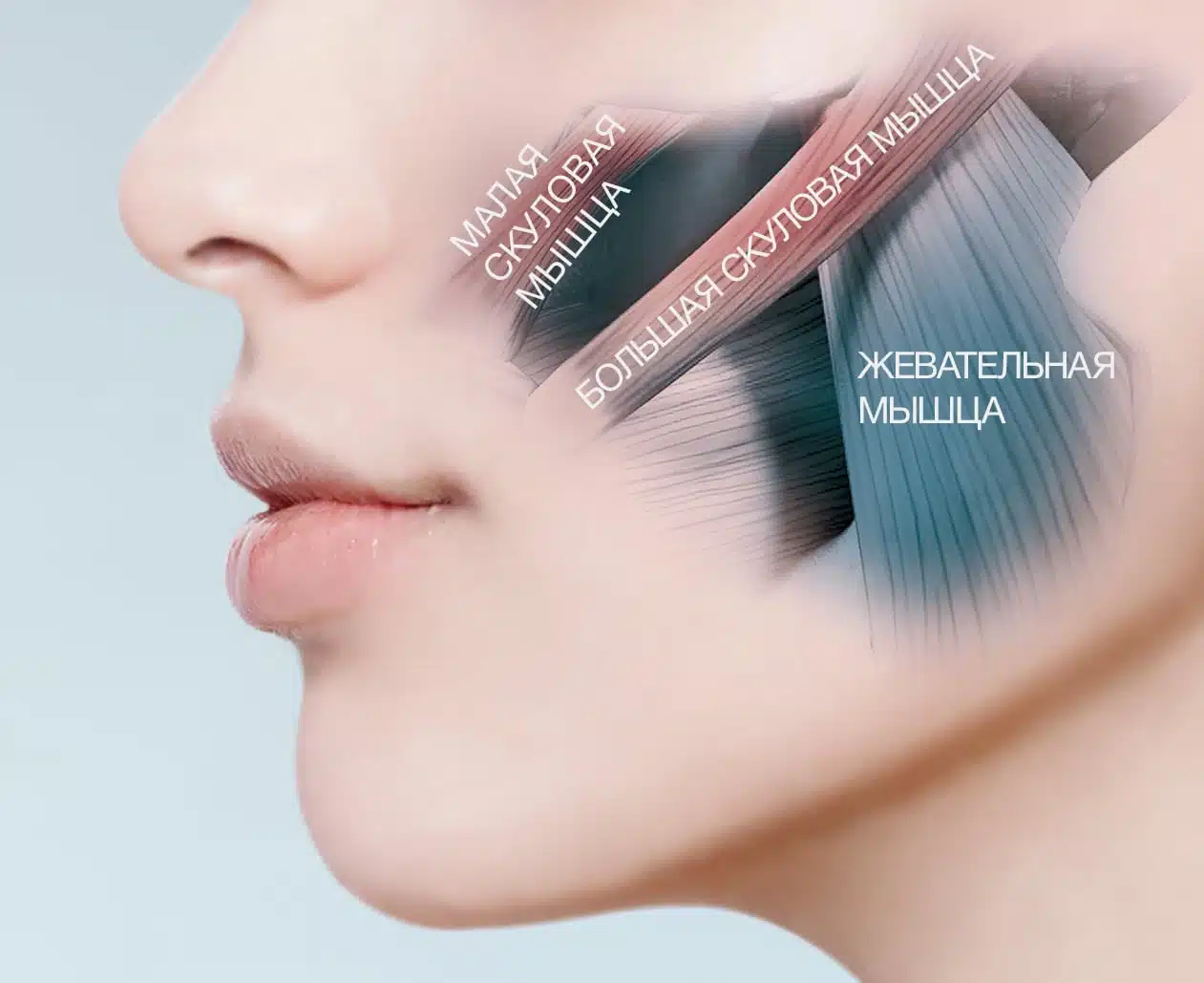 Medi Lift Aqua EX - терең EMS көтеру функциясы бар су өткізбейтін бет маскасы - кескін 21