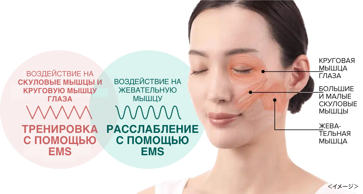 Blue Green Mask Lift - жарықдиодты және EMS бетті лифт құрылғысы - кескін 17