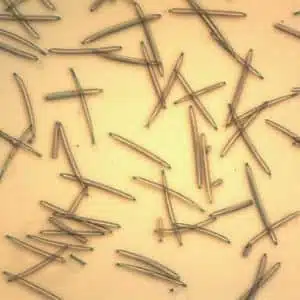 MediLift Needle Lift Sheet Mask